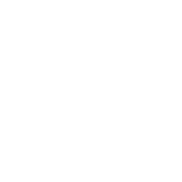 Elisoft Solutions Logo